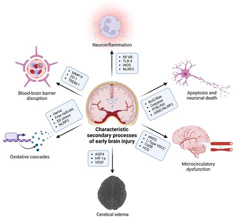 Early Brain Injury After Subarachnoid Hemorrhage: Incidence and
