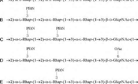 Figure From O Antigen Structure Of Shigella Flexneri Serotype Yv And