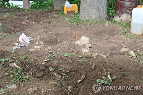 이포보 농성 환경단체 음식쓰레기 불법 매립 연합뉴스