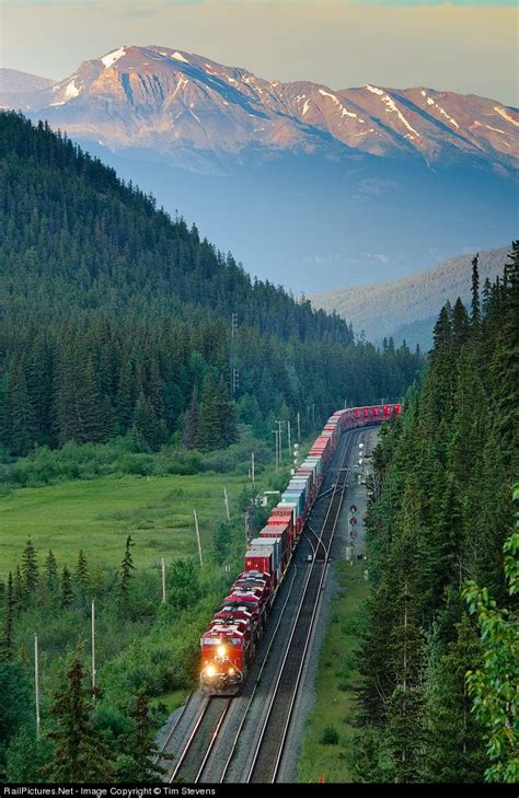 A Train Traveling Through A Lush Green Forest Covered Mountain Side