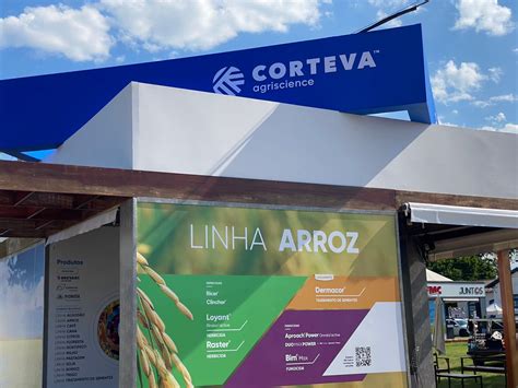 Corteva Agriscience Leva Abertura Oficial Da Colheita Do Arroz Sua