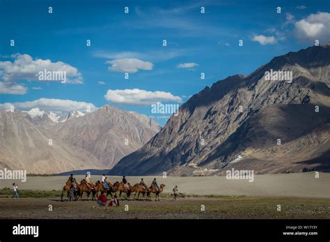 Ladakh, India; Dated- May 14, 2019: Tourists enjoying camel ride in the ...