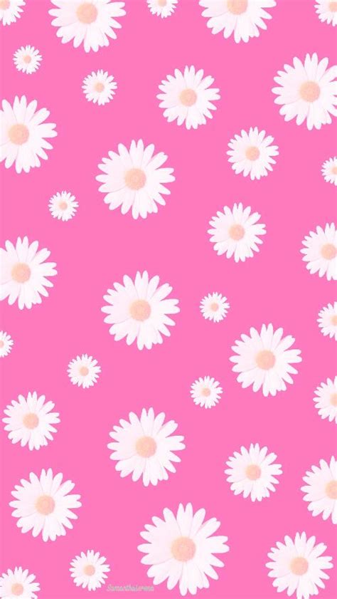 Pink Daisy Iphone Wallpaper