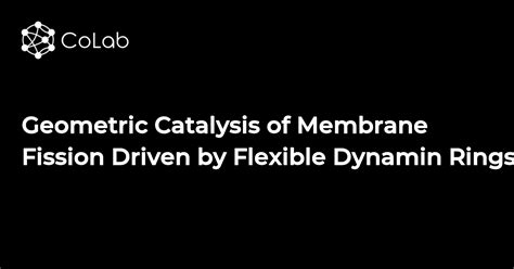 Geometric Catalysis Of Membrane Fission Driven By Flexible Dynamin