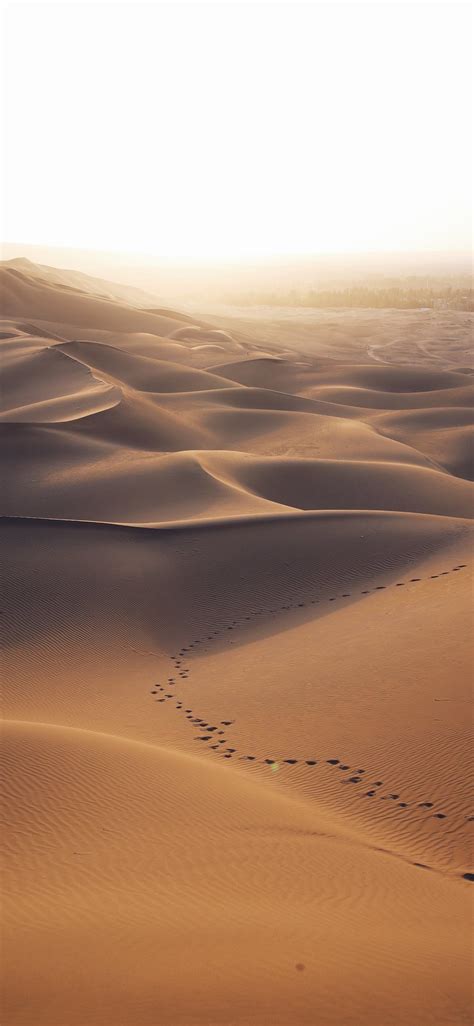 aerial photo of brown desert Wallpaper | Wallpaper iphone, Pasir