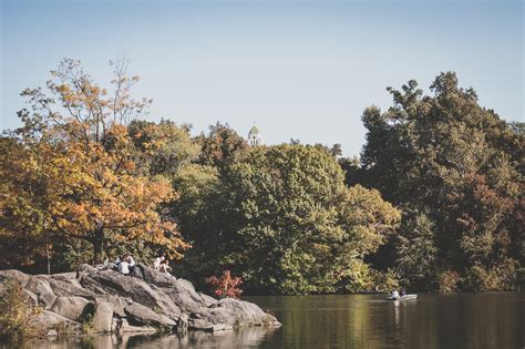 Free Images Landscape Tree Water Nature Morning Leaf Flower