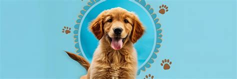 Premium Photo | Golden Retriever Puppy Badge Celebrating Loyalty and ...