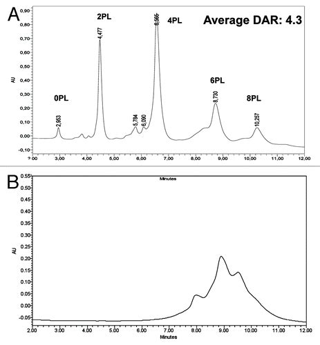 Full Article Antibody Drug Conjugate Model Fast Characterization By Lc Ms Following Ides