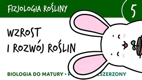 Wzrost I Rozw J Ro Lin Fizjologia Ro Lin Matura Z Biologii