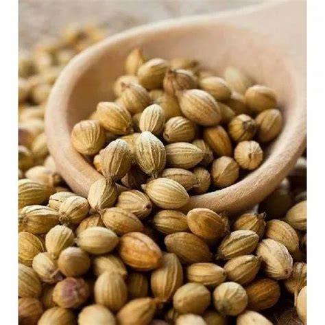 Brown Dried Coriander Seeds For Spices Packaging Size Gm Kg