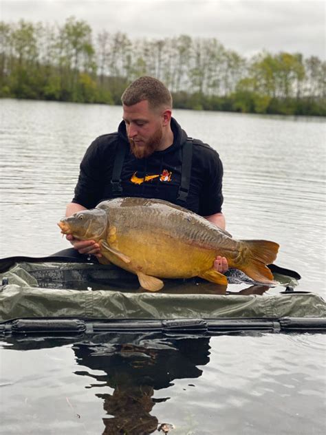 Guide Ultime de la Pêche à la Carpe au Coup en France Astuces et