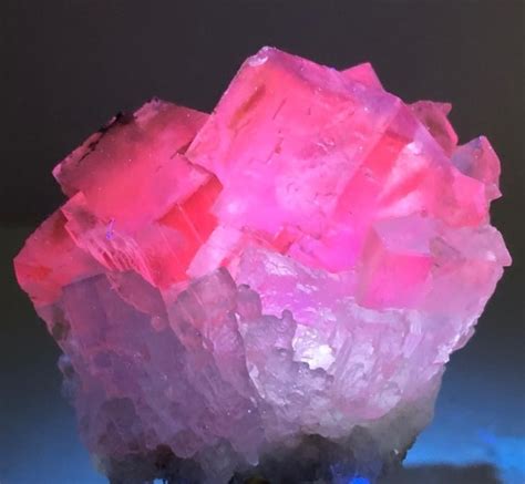 Types of Fluorite Crystals & Why Roger Rabbit Digs For Them