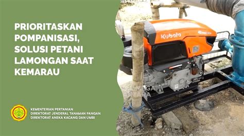 Tingkatkan Indeks Pertanaman Kementan Percepat Pompanisasi Di Lamongan