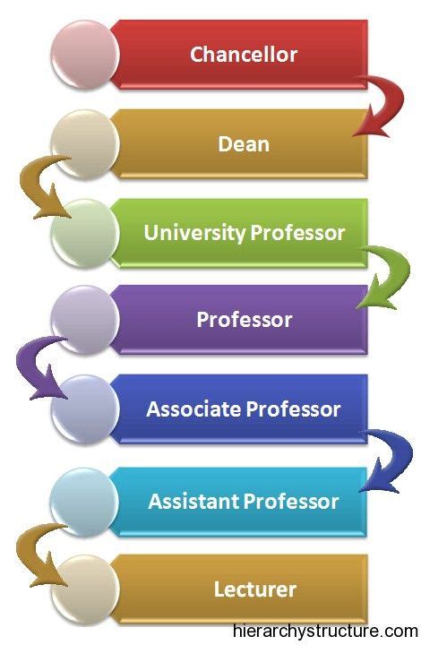 Academic Career Hierarchy Hierarchy Academics Career