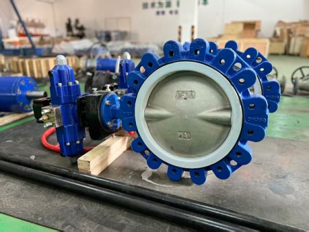 The Primary Disadvantage Of Butterfly Valve Explained