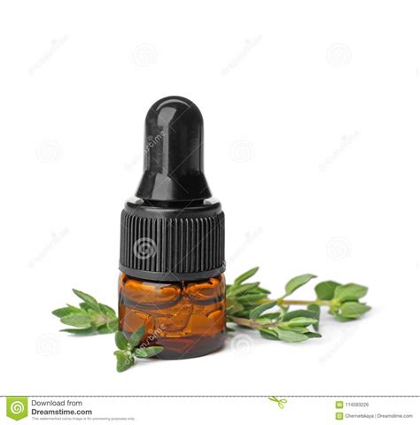 Bottle With Thyme Essential Oil And Fresh Herb Stock Photo Image Of