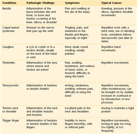 The Musculoskeletal System Nurse Key