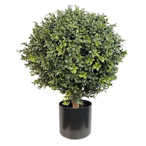 Umjetni Bux Buxus Na Stabljiki Sa Uv Za Tito Bonsai Dekor