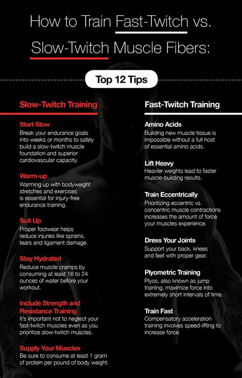 Slow-Twitch vs. Fast-Twitch Muscle Fibers and How to Target Them – The Amino Company