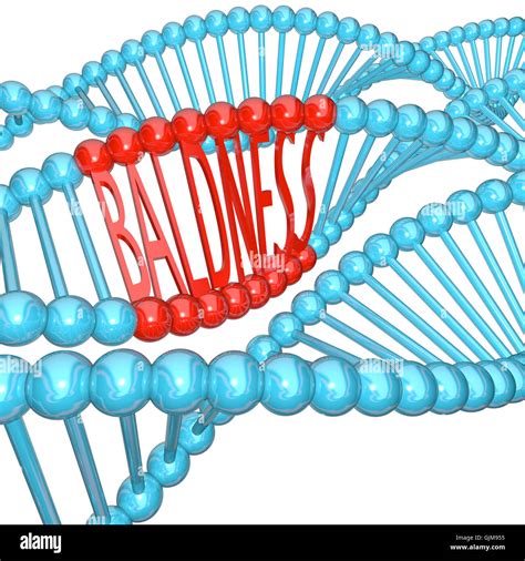 Baldness Hereditary Genetics In DNA Strand Stock Photo Alamy