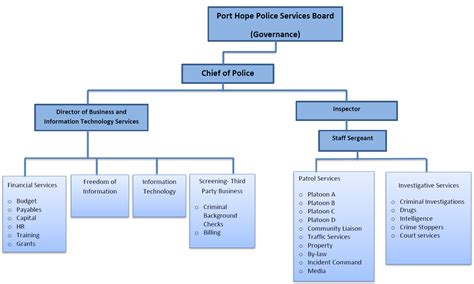 Organizational Structure Of Infosys