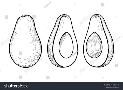 avocado black white drawing  avocado