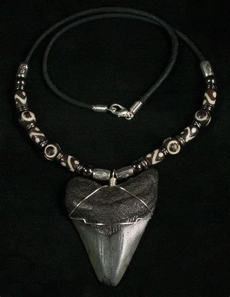 Megalodon Tooth Necklace - 2.2" tooth (#5571) For Sale - FossilEra.com