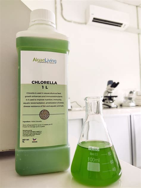 Algae Living Fresh Chlorella Culture, 1L – Algae Living