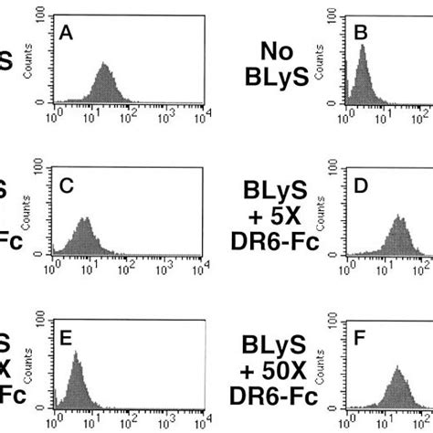 TACI Interacts With BLyS And APRIL Conditioned Medium From HEK293