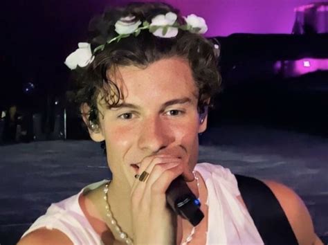 Você Conhece Shawn Mendes Anonimah Quizur