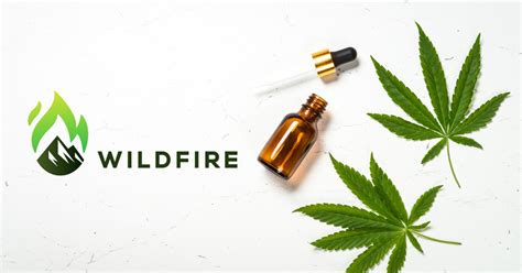 Making The Best Cannabis Cooking Oil | WildFire, LLC | 207