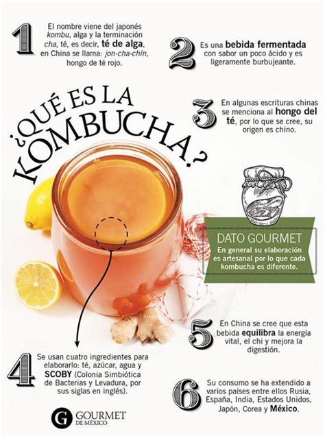 ¿qué Es La Kombucha Gourmet De México Vive El Placer De La Gastronomía Kombucha Receta