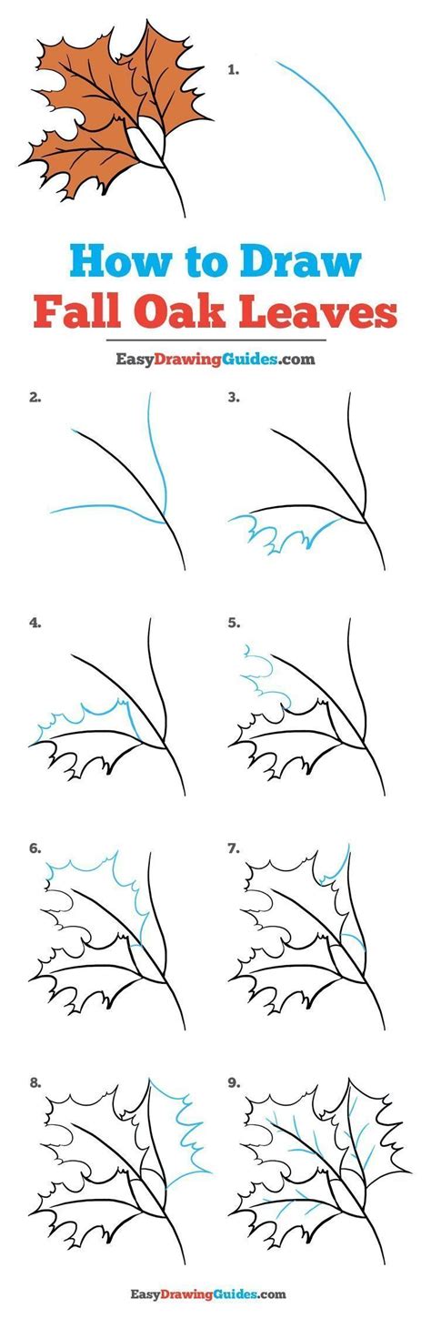 How To Draw Fall Oak Leaves