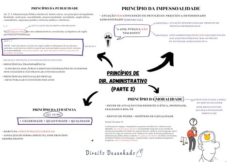 Princ Pios De Direito Administrativo Resumo Completo