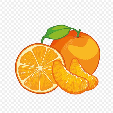 Orange Fruite Clipart Transparent Png Hd Fruit Illustration Delicious