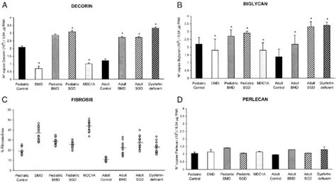 Expression Of A Decorin B Biglycan And D Perlecan MRNA Copies