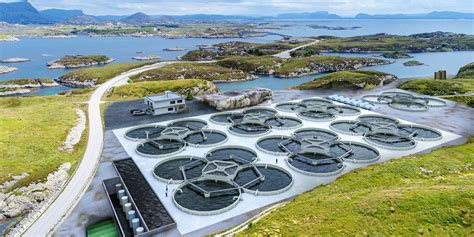 Land Based Aquaculture Concept Using Seawater Intake Gets 5 Million