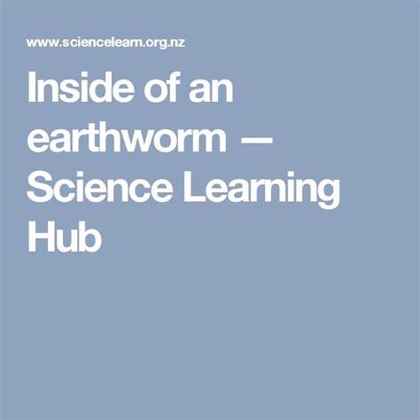 Inside Of An Earthworm Science Learning Hub Learning Science