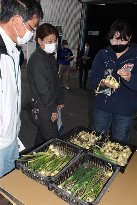 出荷前に規格徹底へ／ペコロス目ぞろえ会 ほっとニュース アグリス（jaあいち知多）