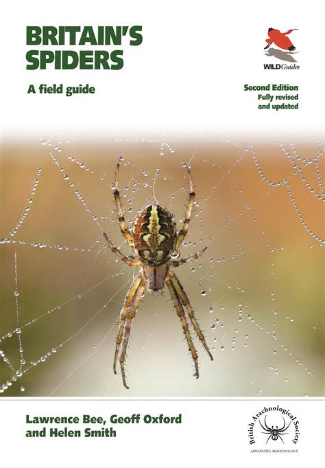 Britains Spiders Princeton University Press