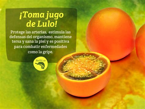 Natvit Inicio Beneficios De La Fruta Salud Y Nutricion Frutas Y