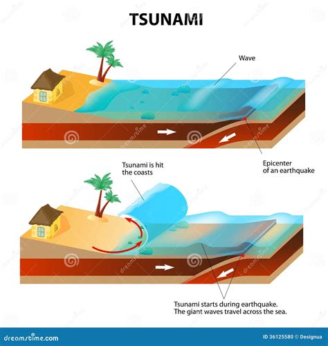 Tsunami Y Terremoto Ejemplo Del Vector Ilustraci N Del Vector