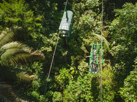 Rainforest Canopy and Zipline Adventure | Zipline Costa Rica