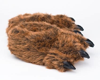 Grizzly Bear Paw Slippers | Grizzly Bear Slipper | Bear Paw Slippers