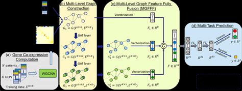 Overview Of The Proposed Multi Level Attention Graph Neural Network Download Scientific Diagram