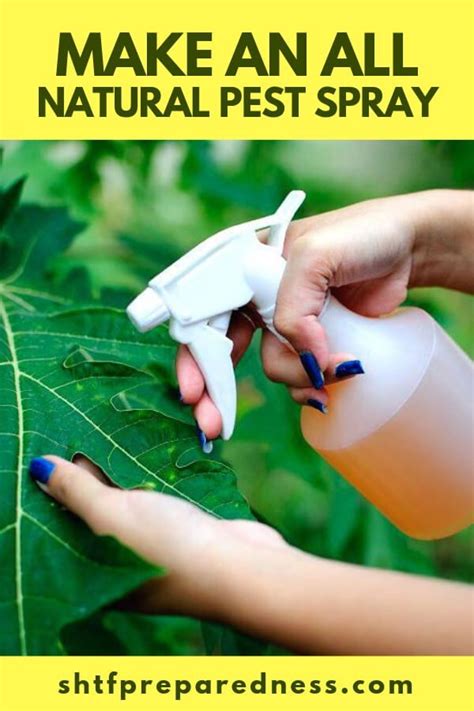 Make An All Natural Pest Spray Pest Spray Garden Pest Control