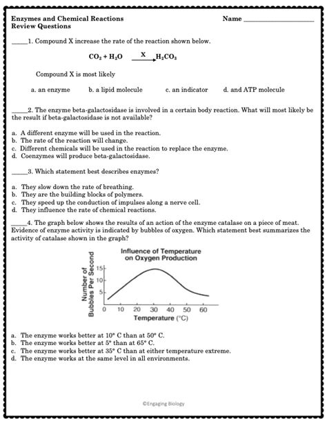 Enzymes Worksheets Made By Teachers