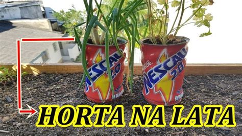 Lata De Nescau Vira Vaso Para Sua Horta Agricultura Plantas