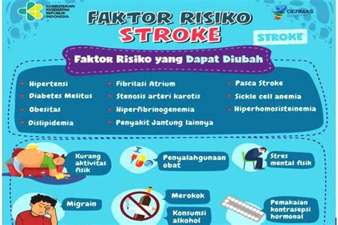 Stroke Dapat Dicegah Ayo Segera Kenali Penyebabnya Lendoot