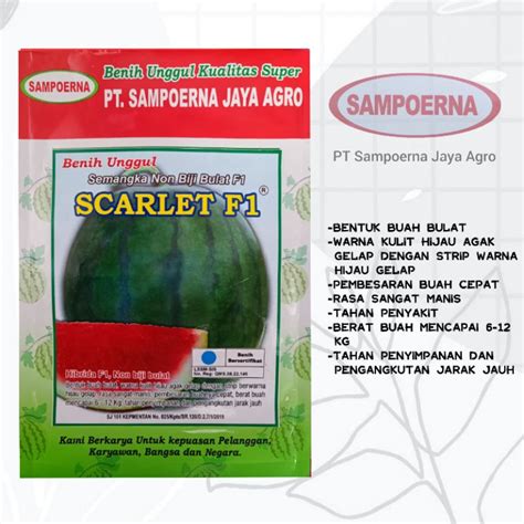 Jual Benih Semangka Non Biji Scarlet F Shopee Indonesia